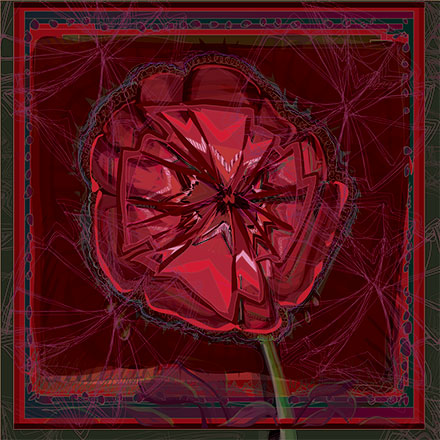 red poppy